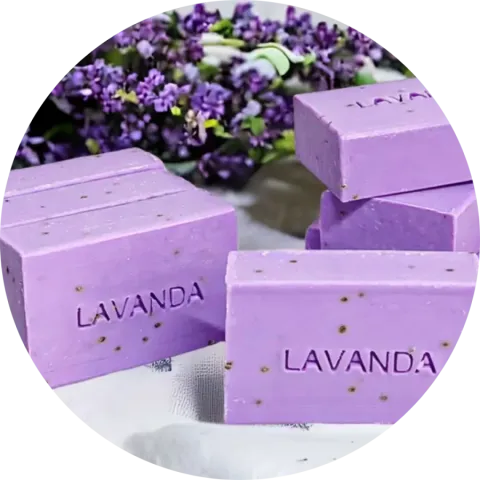 Lavanda