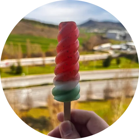 Paleta de sandía